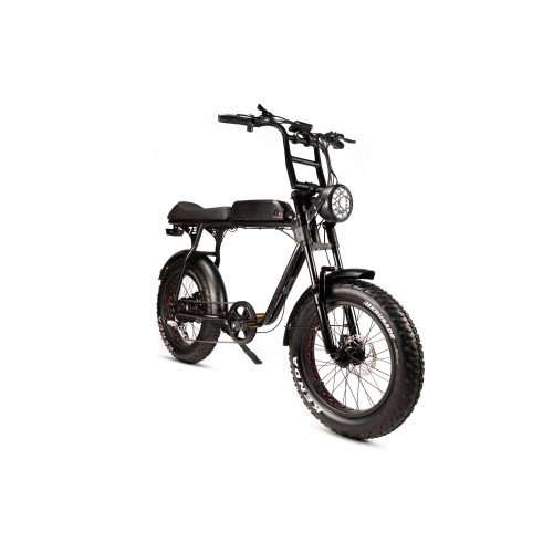 Avon A73 Elektrische Fatbike - 20 inch  - 250W Vermogen  zwart