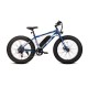 Avon X6 250W E-Bike Fatbike 250W Motor 24 Inch Blauw 