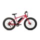 Avon X6 250W E-Bike Fatbike 250W Motor 24 Inch Rood